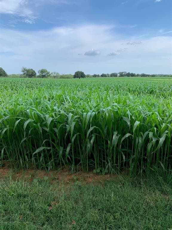 27 acres in Eastland County - photo 38