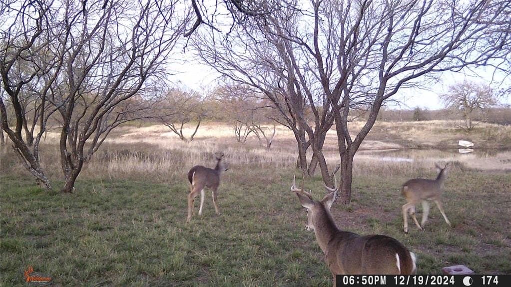 27 acres in Eastland County - photo 35