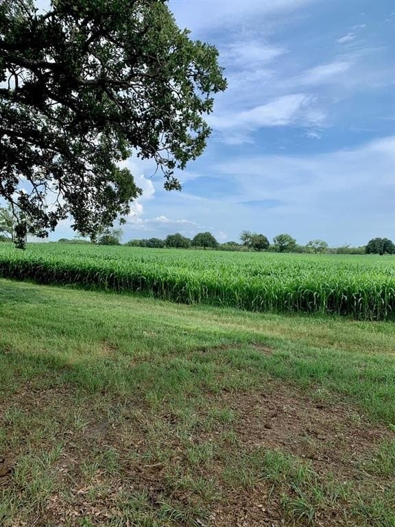 27 acres in Eastland County - photo 40