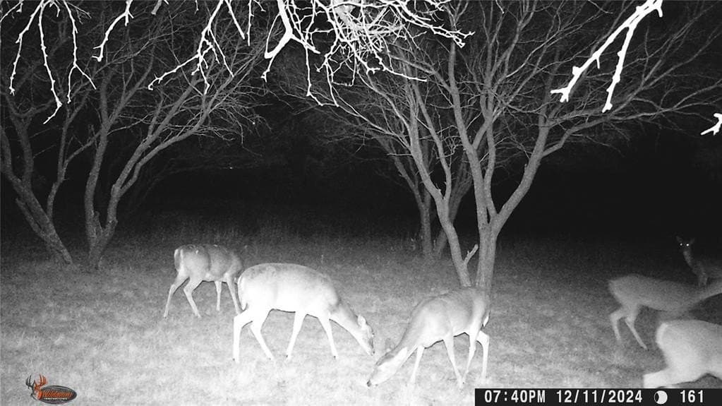 27 acres in Eastland County - photo 34