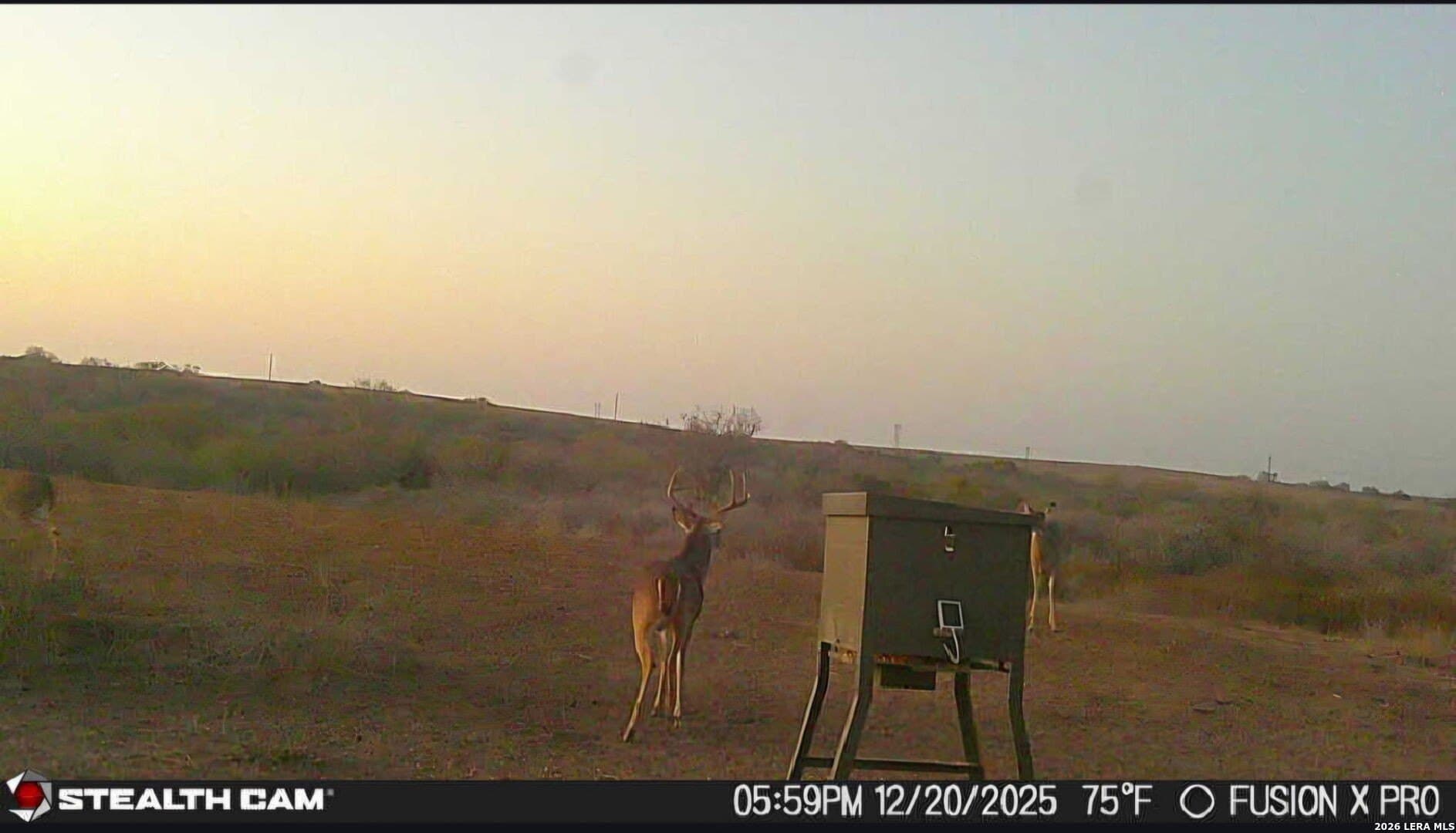 56 acres in Karnes County - photo 26