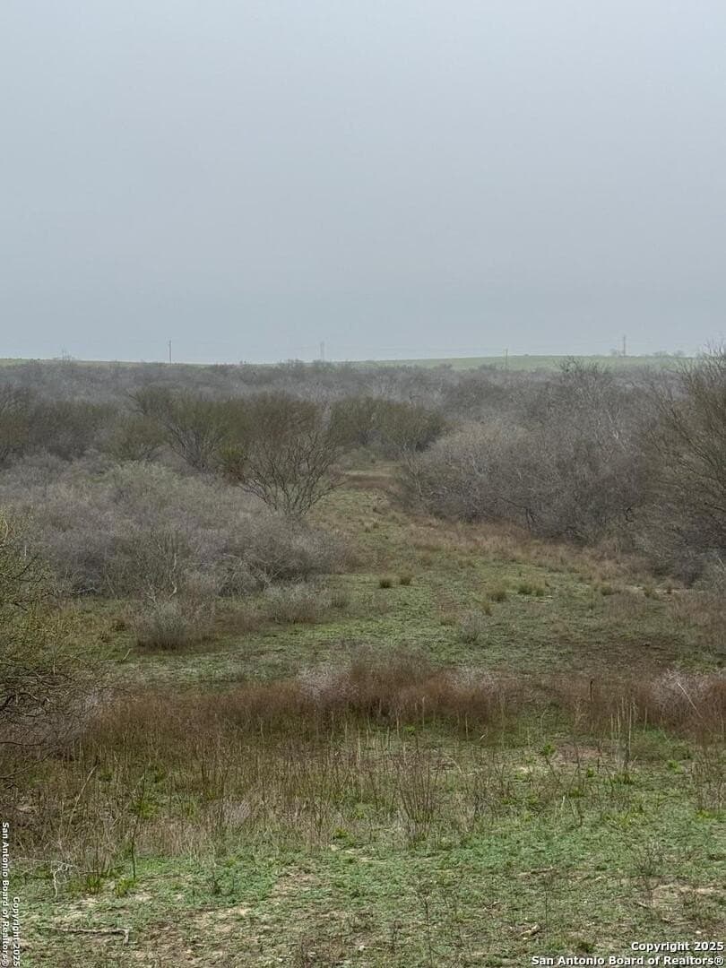 56 acres in Karnes County - photo 5