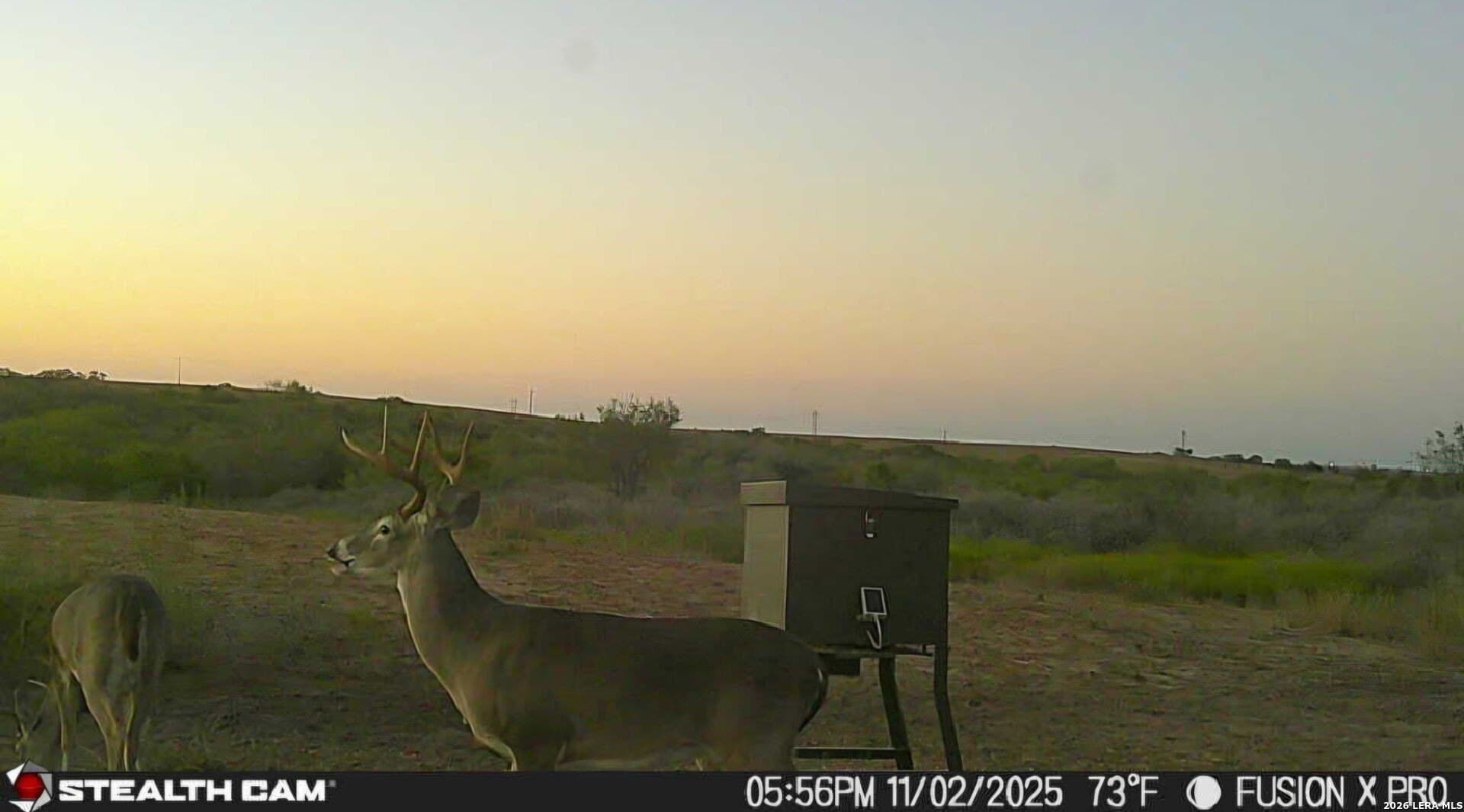 56 acres in Karnes County - photo 27