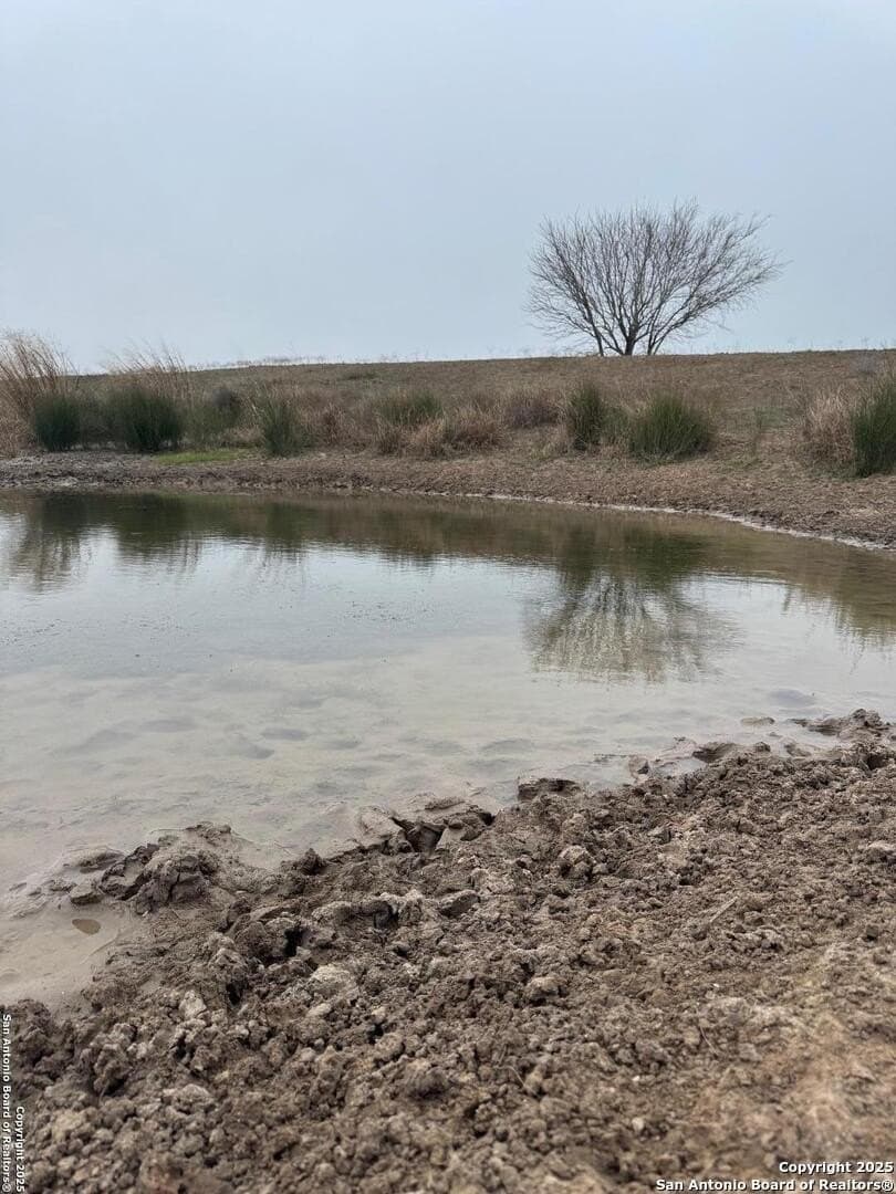56 acres in Karnes County - photo 17