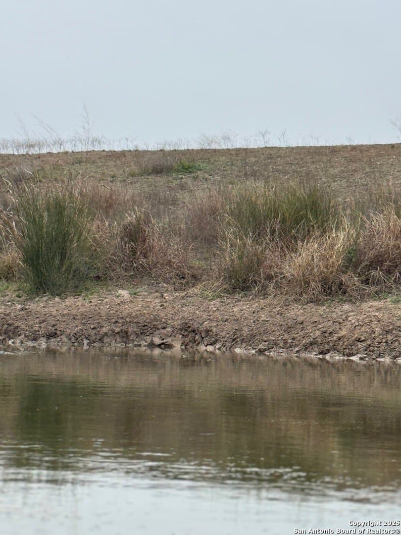 56 acres in Karnes County - photo 23