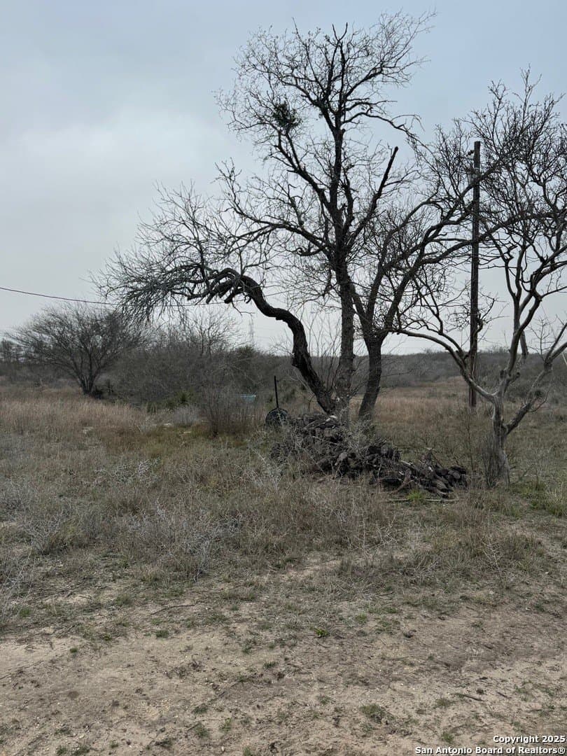 56 acres in Karnes County - photo 13