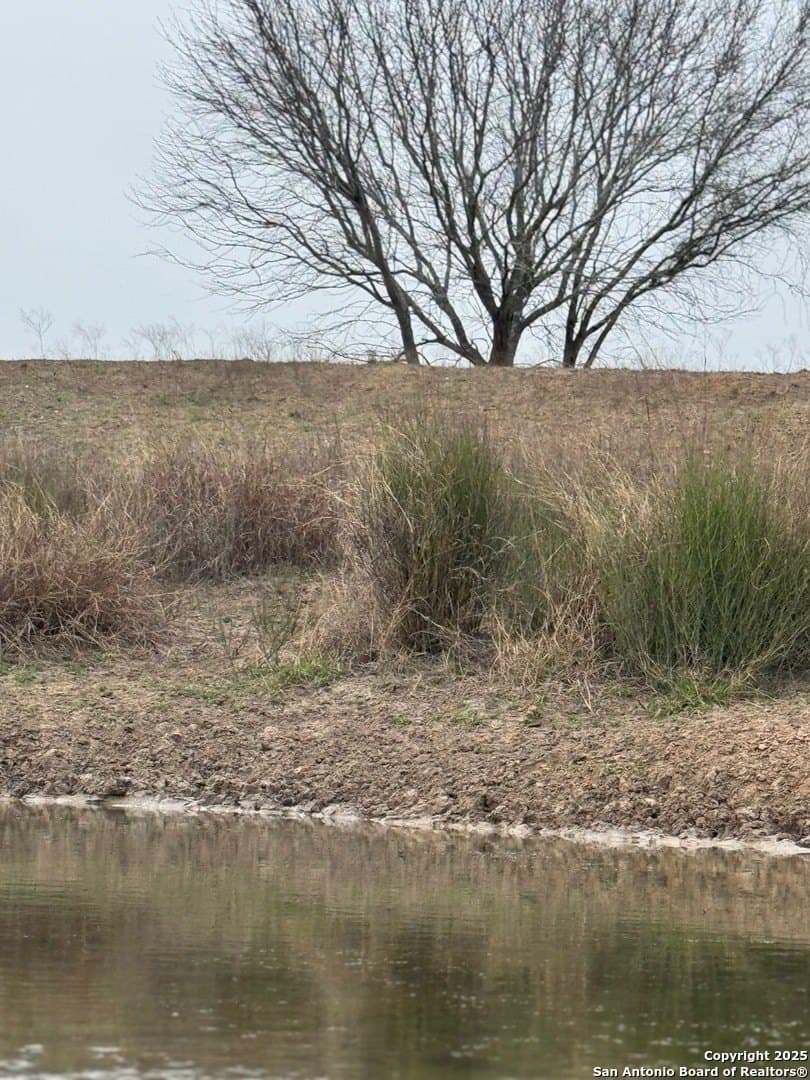 56 acres in Karnes County - photo 20