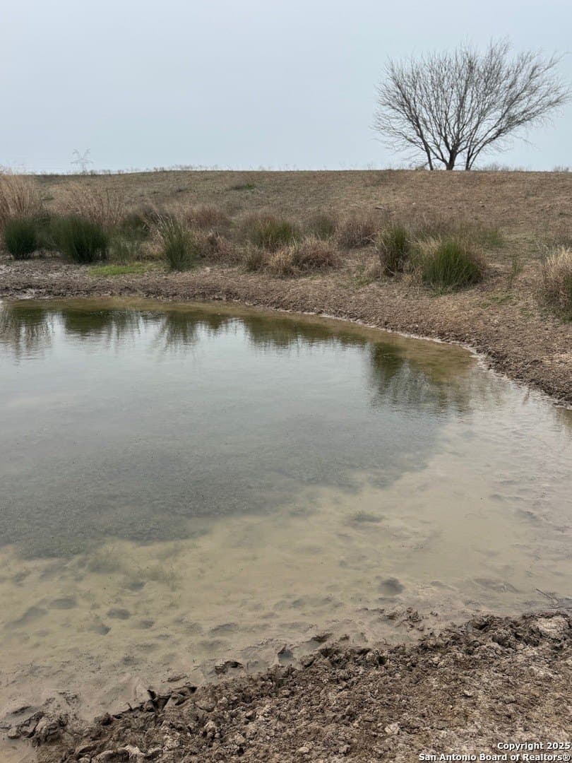 56 acres in Karnes County - photo 4