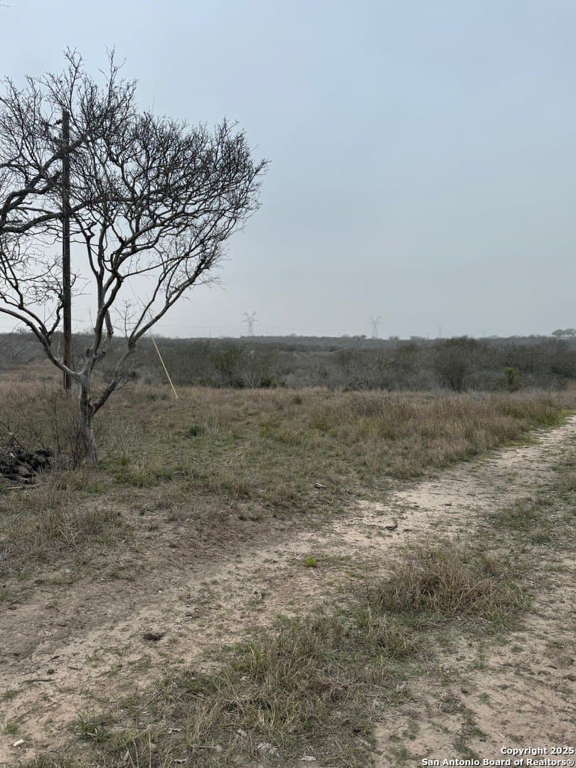 56 acres in Karnes County - photo 11