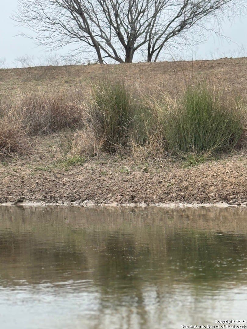 56 acres in Karnes County - photo 19