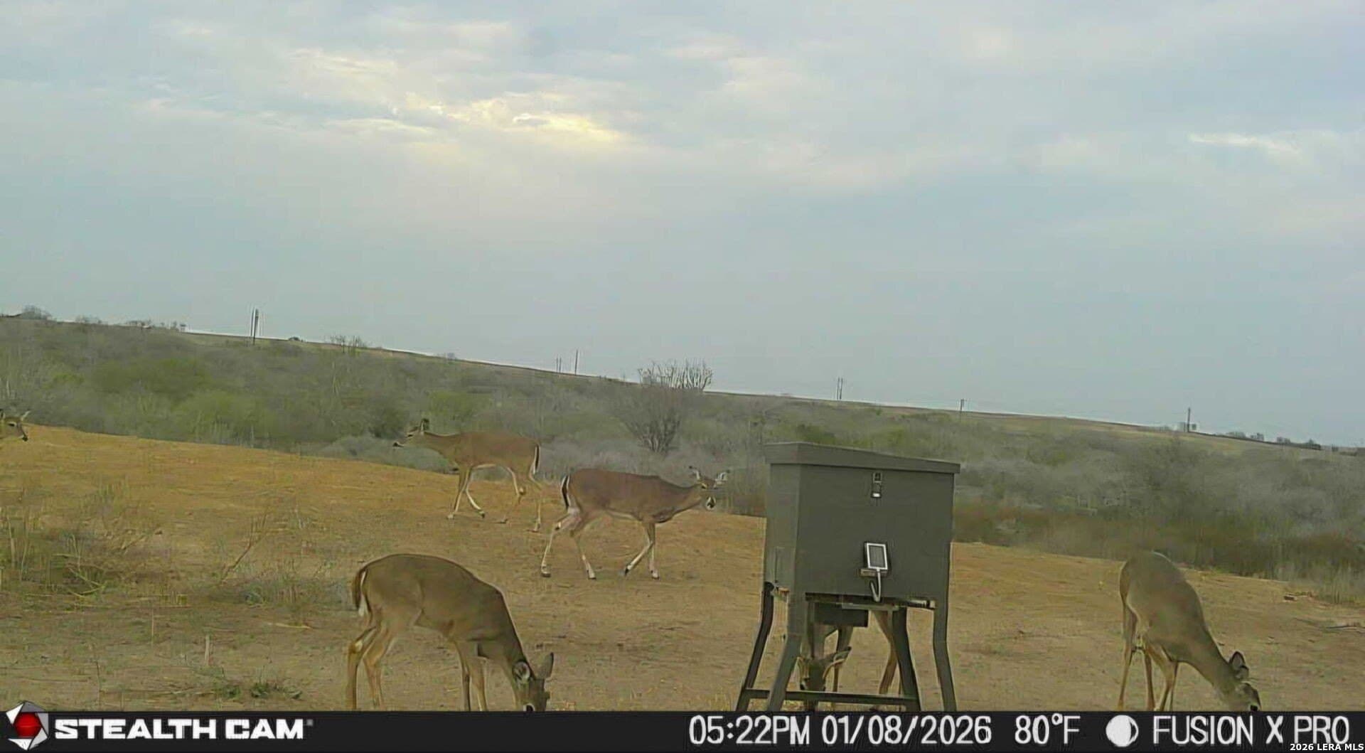 56 acres in Karnes County - photo 3