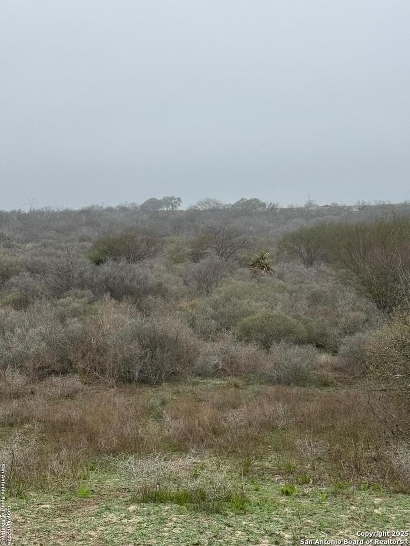 56 acres in Karnes County - photo 22
