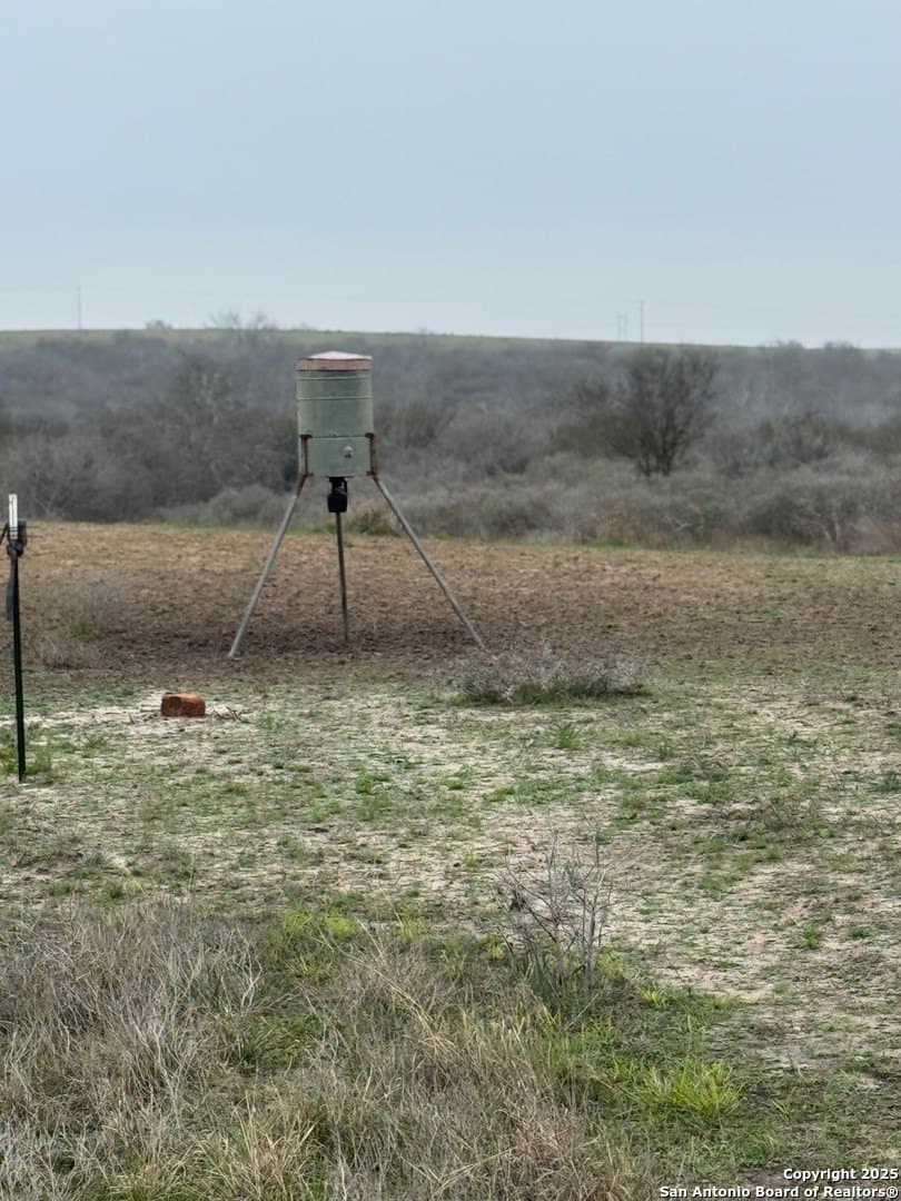 56 acres in Karnes County - photo 16