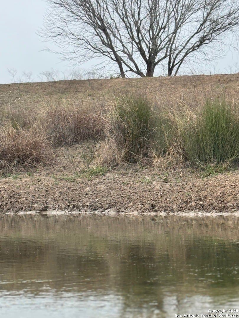56 acres in Karnes County - photo 24