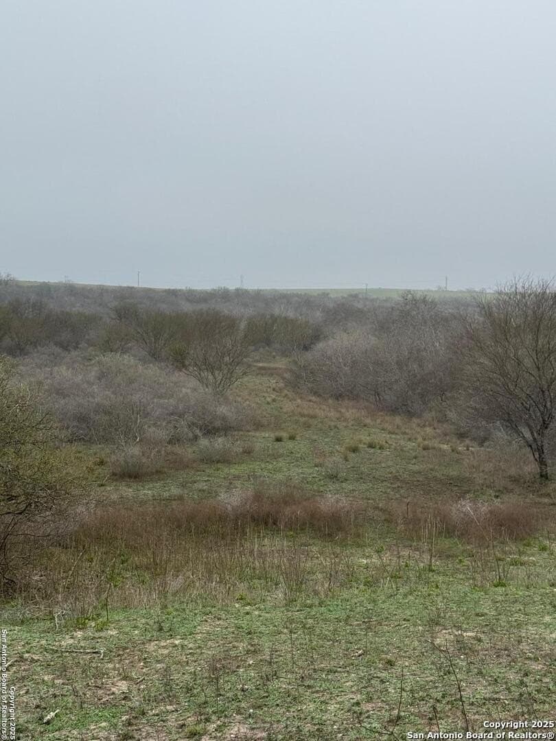 56 acres in Karnes County - photo 21