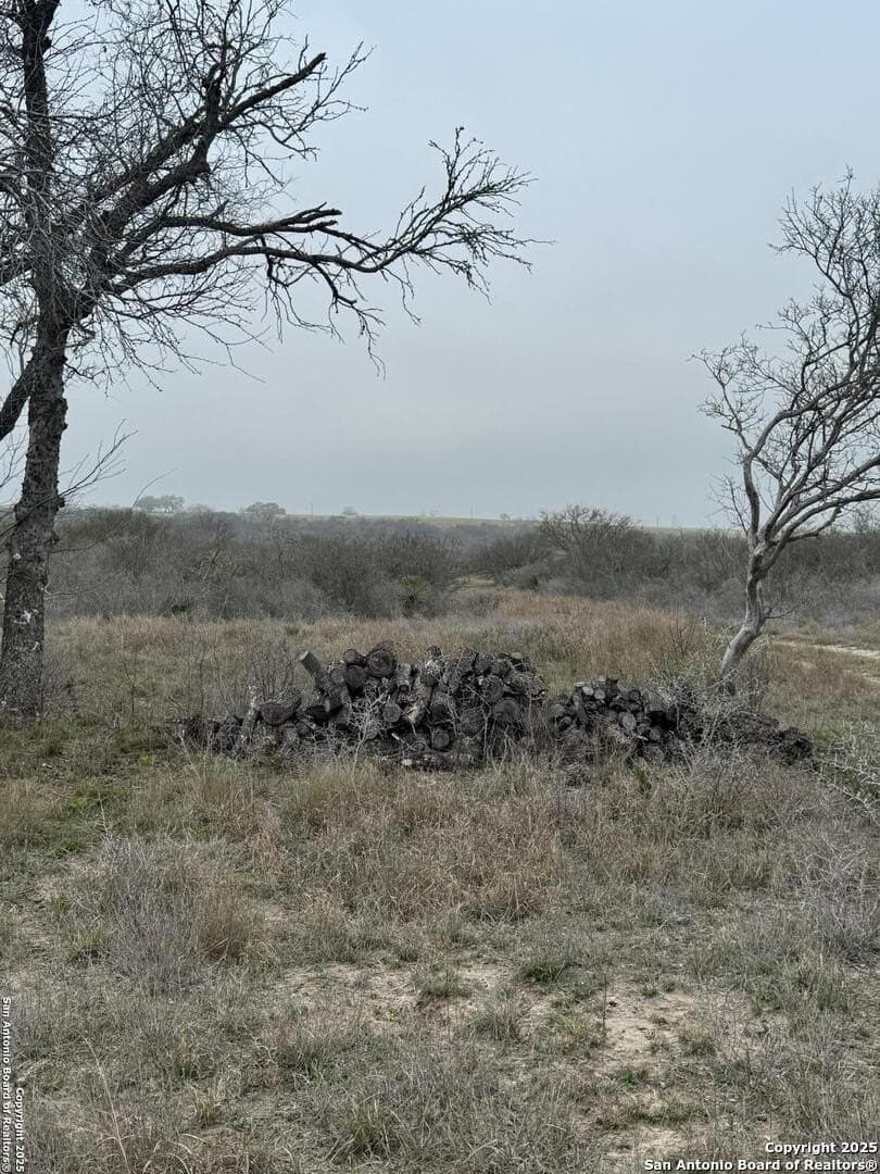 56 acres in Karnes County - photo 8