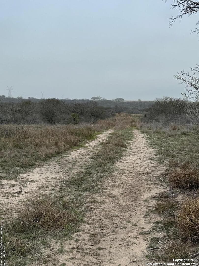 56 acres in Karnes County - photo 10