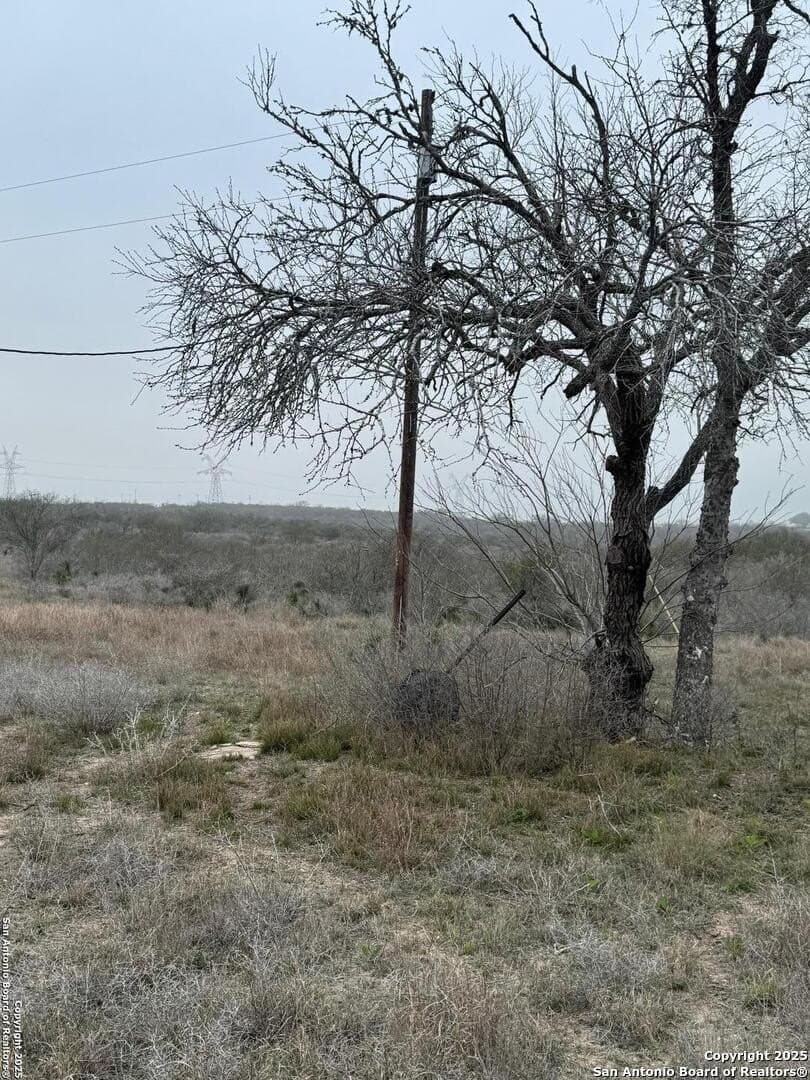 56 acres in Karnes County - photo 9