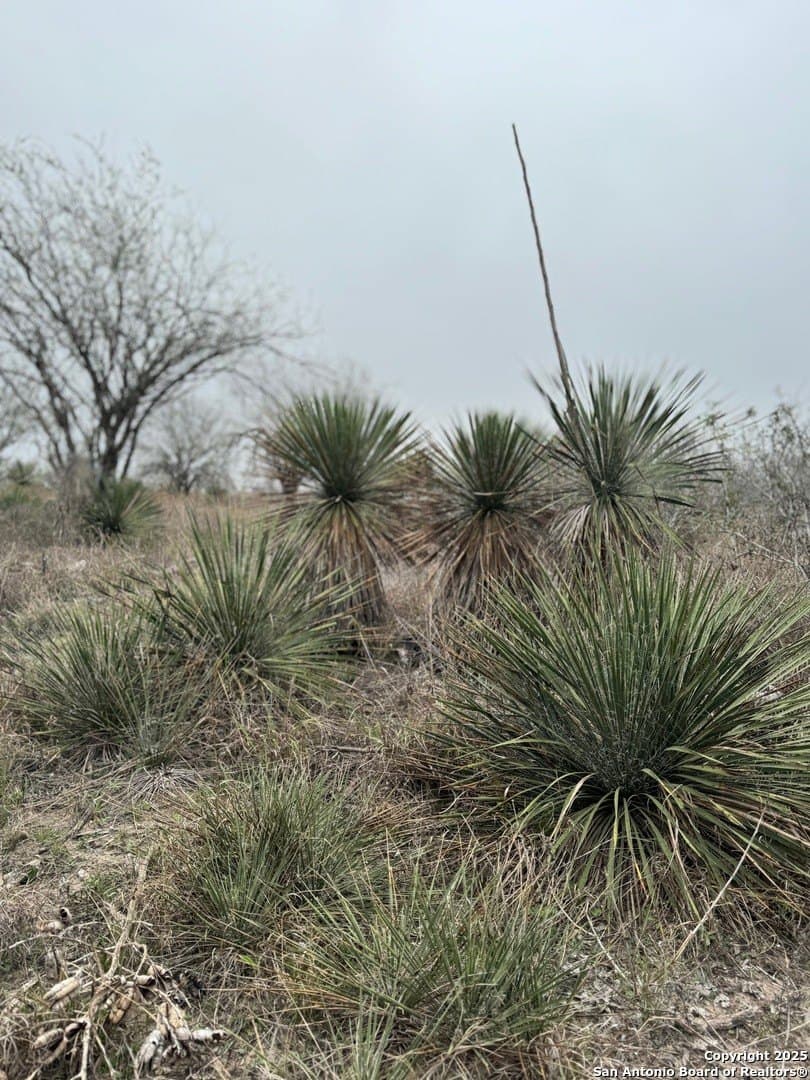 56 acres in Karnes County - photo 14