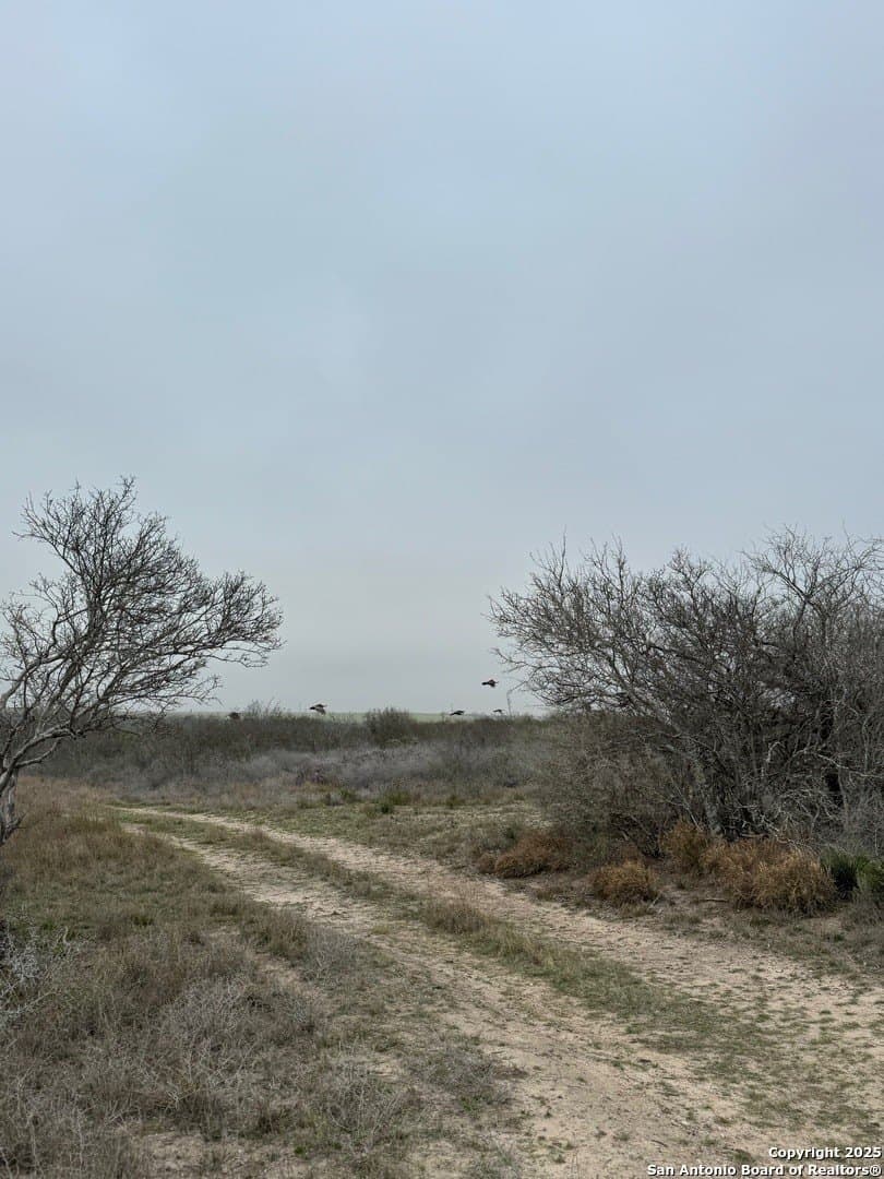 56 acres in Karnes County - photo 12