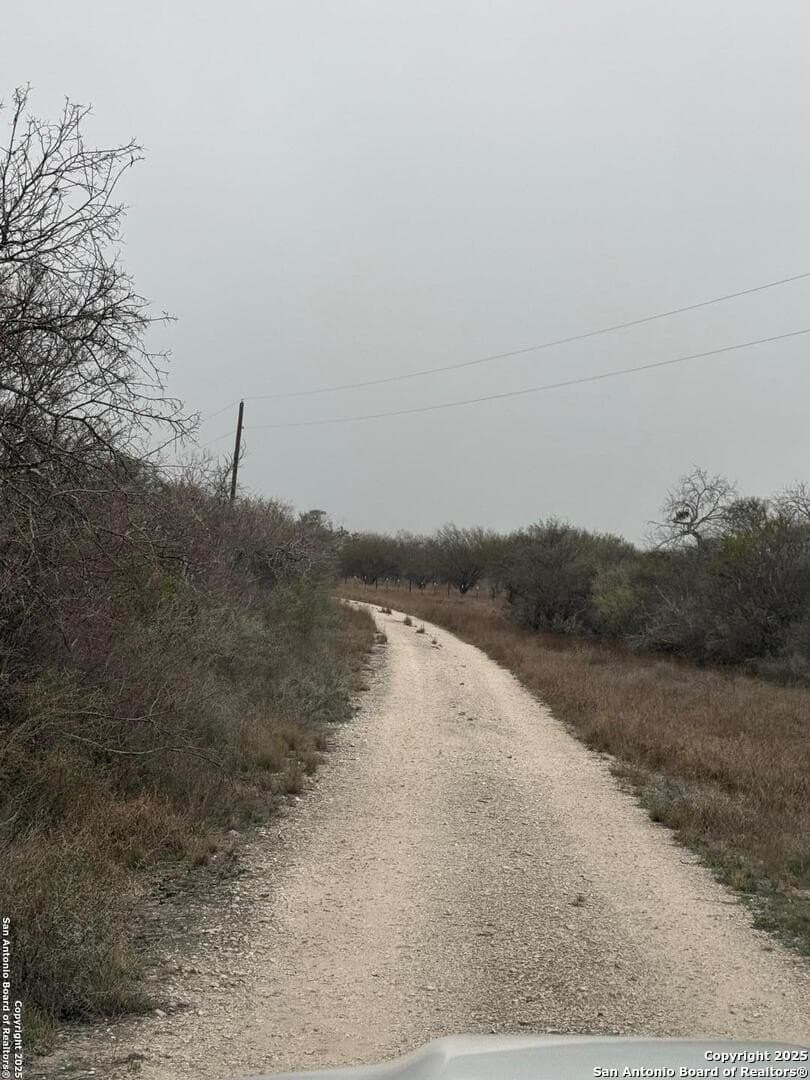 56 acres in Karnes County - photo 6