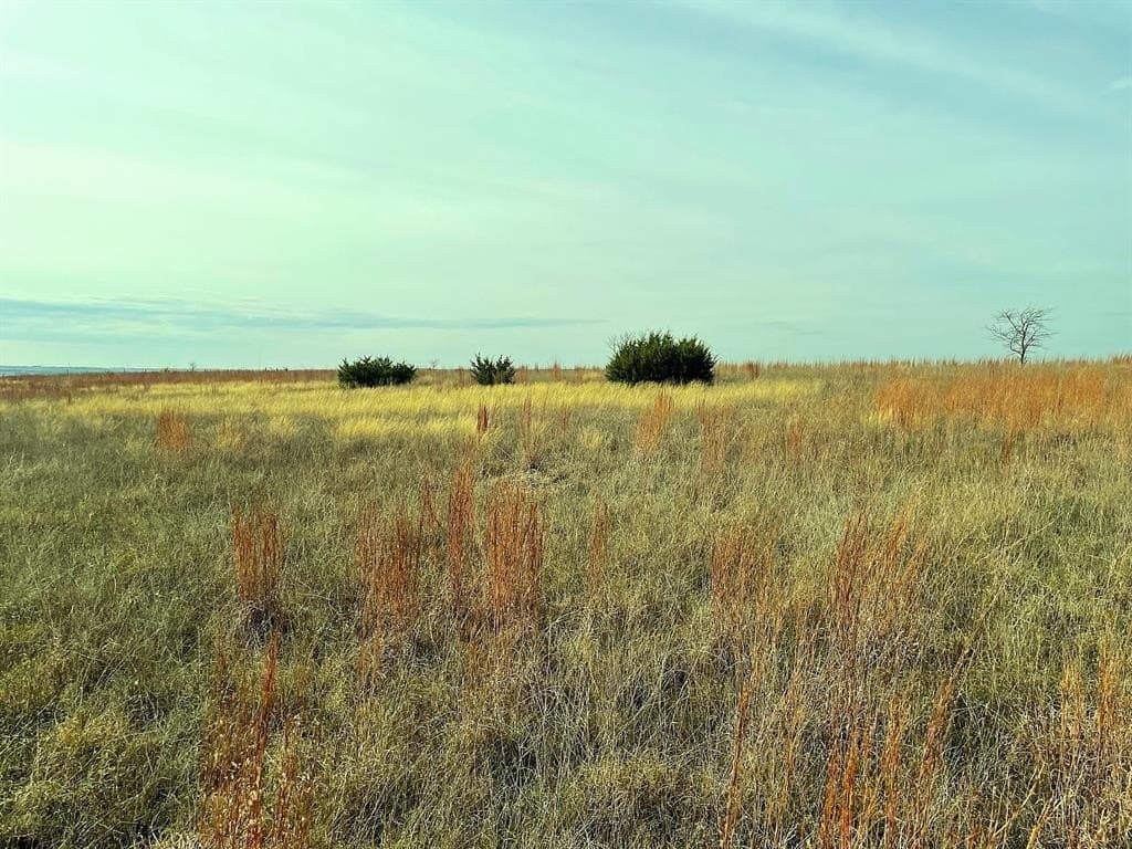 20.56 acres in Hamilton County - photo 3