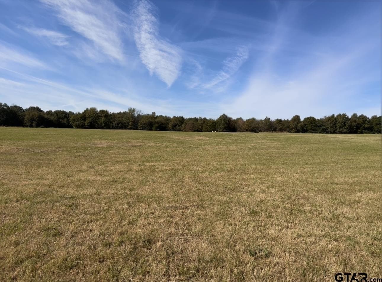 15 acres in Titus County - photo 4