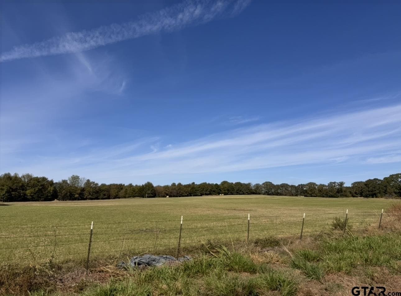 15 acres in Titus County - photo 2