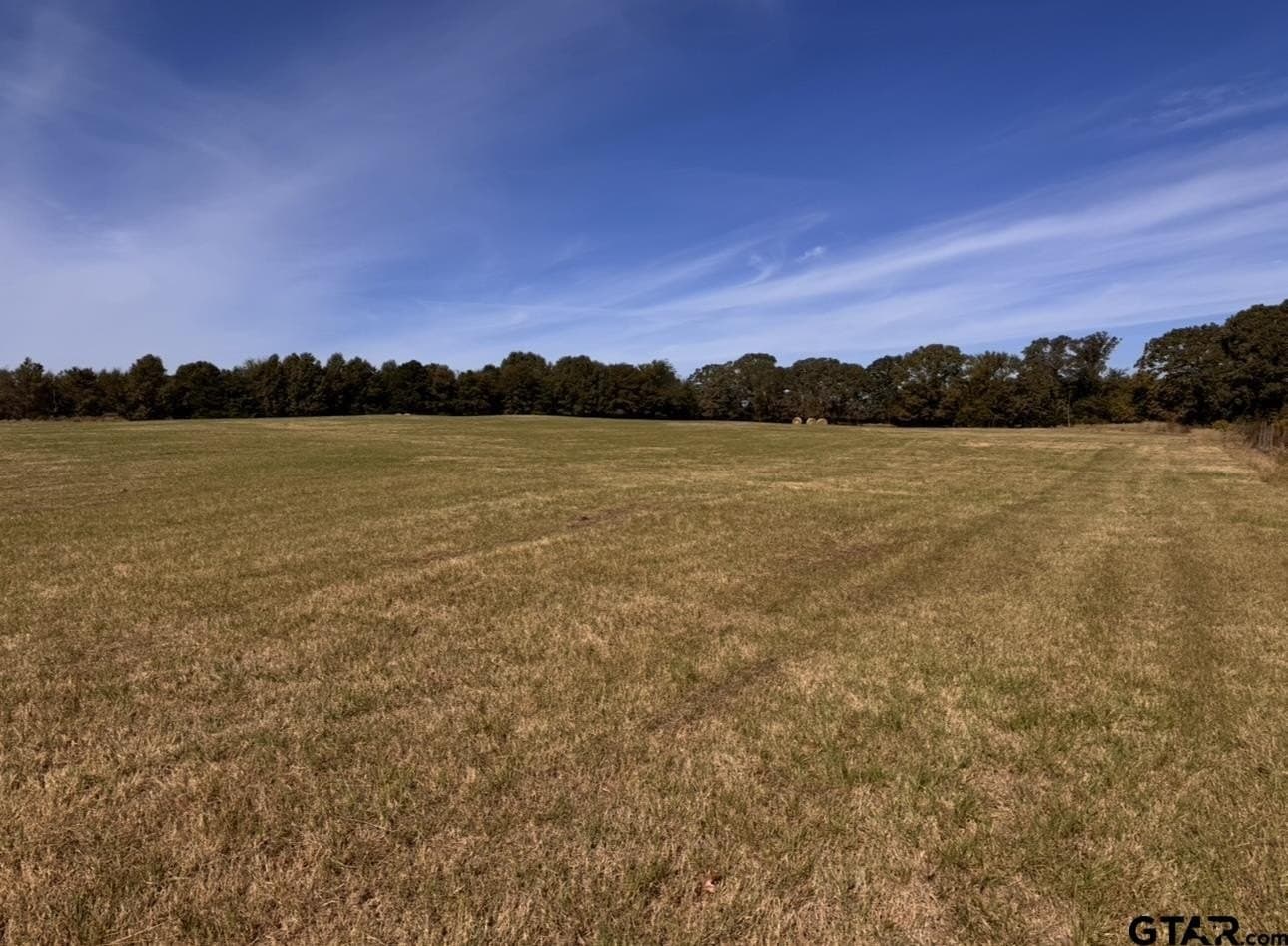 15 acres in Titus County - photo 3