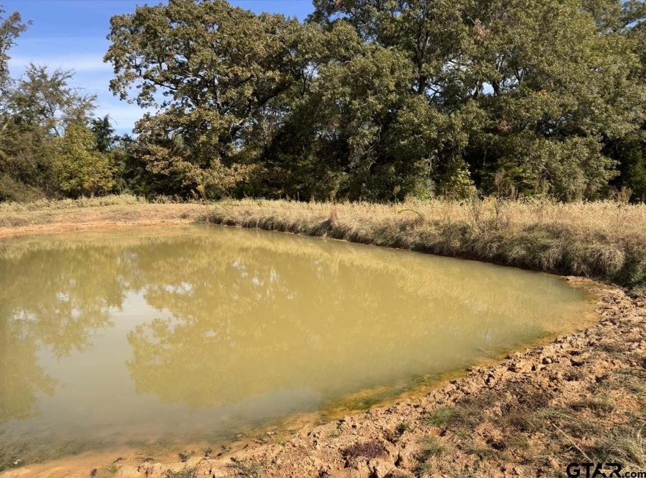 15 acres in Titus County - photo 5
