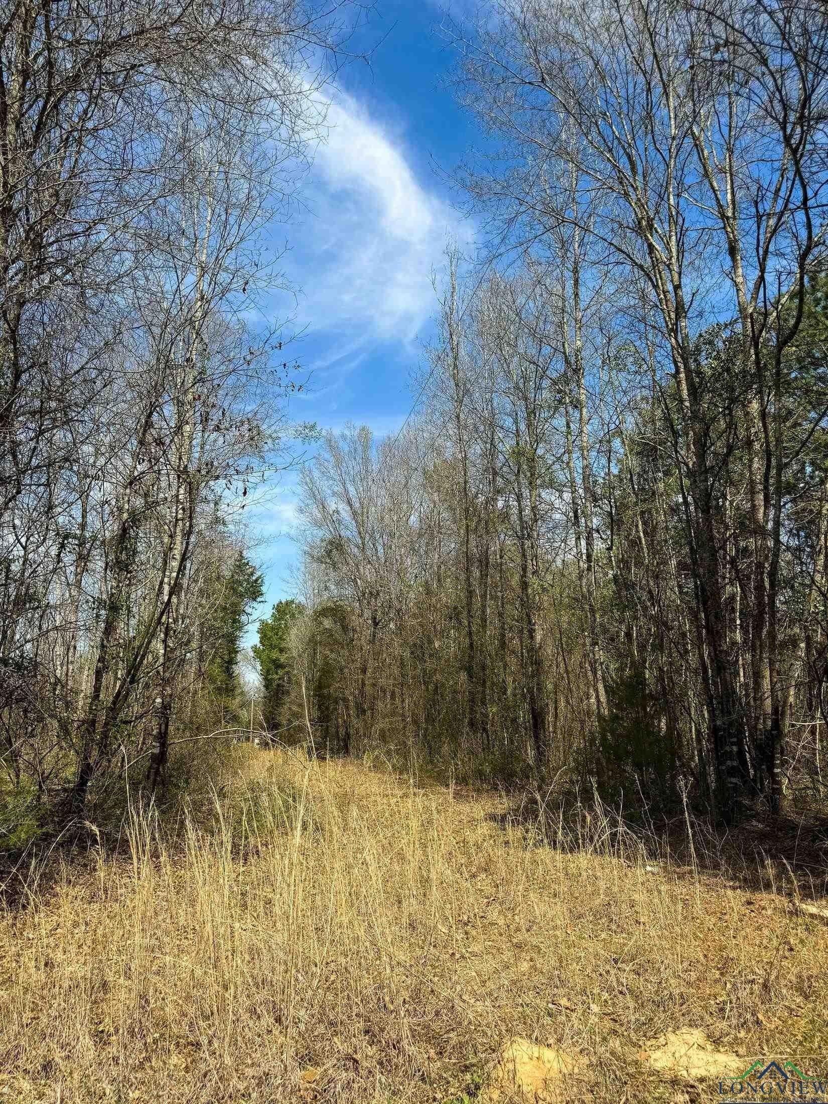 13 acres in Cass County - photo 12