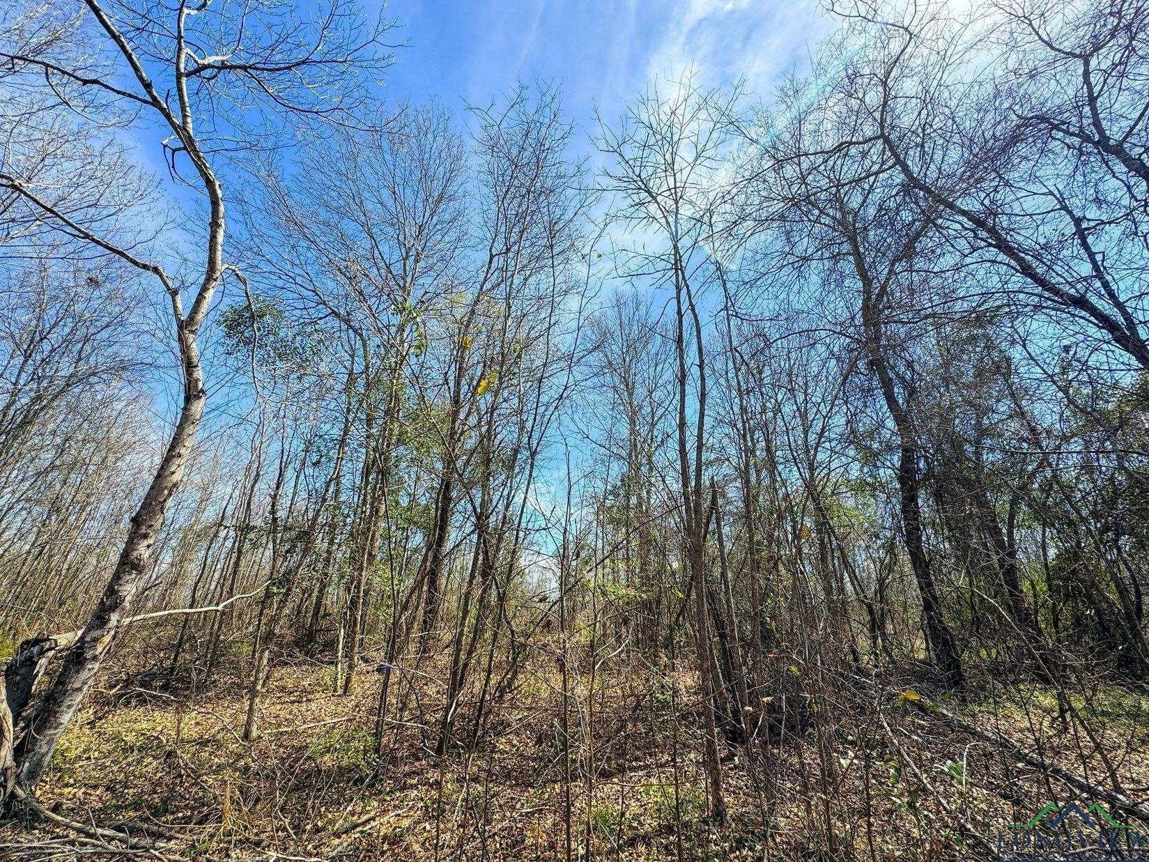 13 acres in Cass County - photo 9