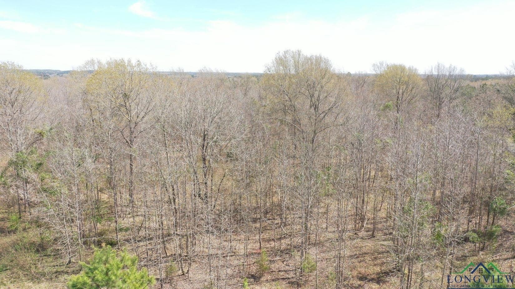 13 acres in Cass County - photo 3