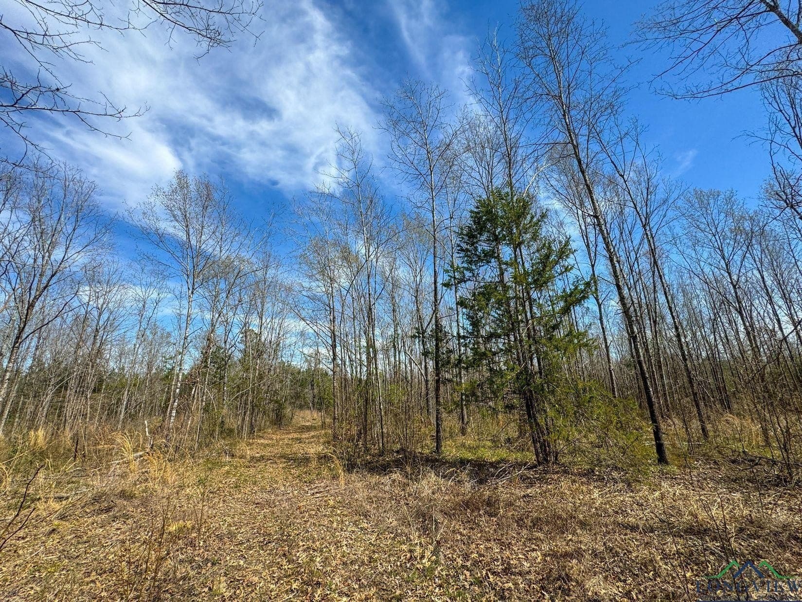 13 acres in Cass County - photo 8