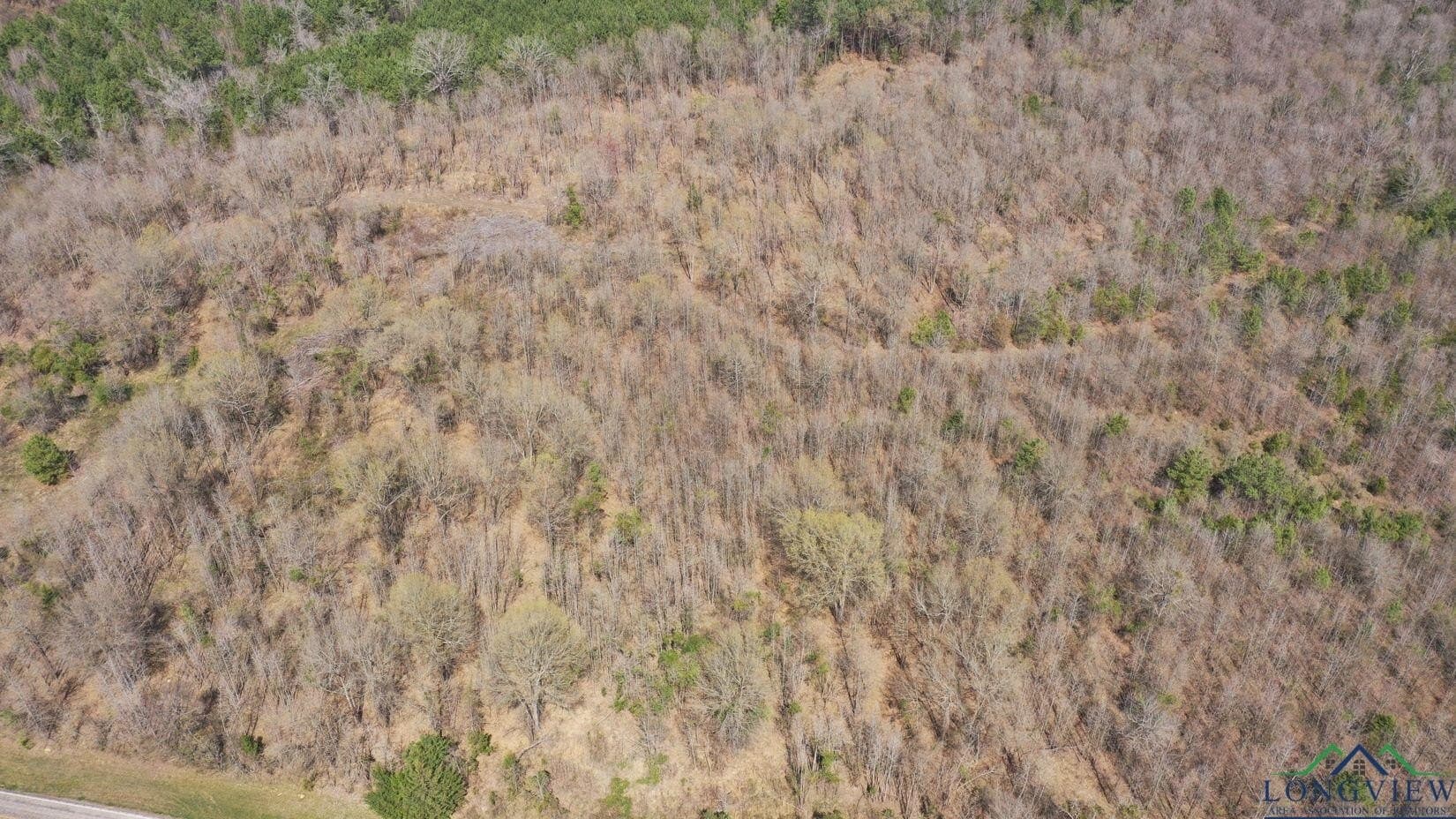 13 acres in Cass County - photo 4