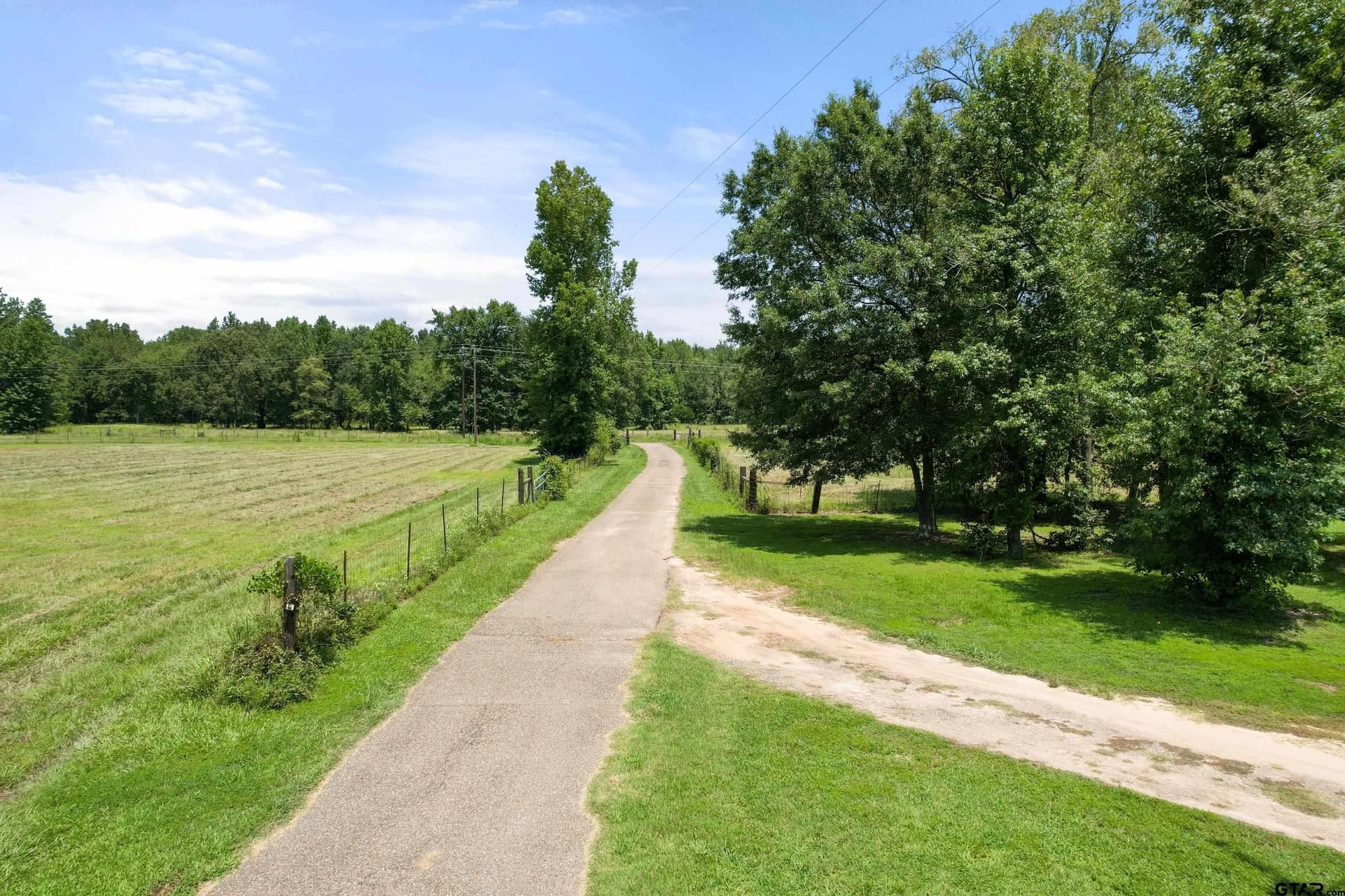 13 acres in Titus County - photo 4