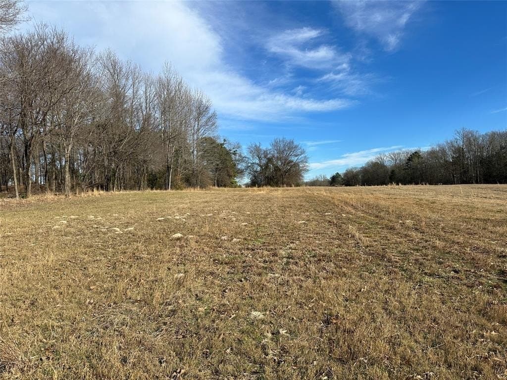 10.49 acres in Hopkins County - photo 4