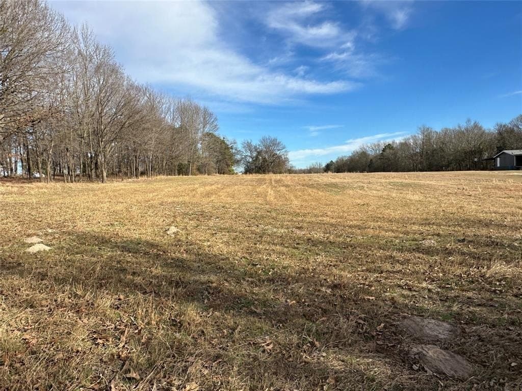 10.49 acres in Hopkins County - photo 8