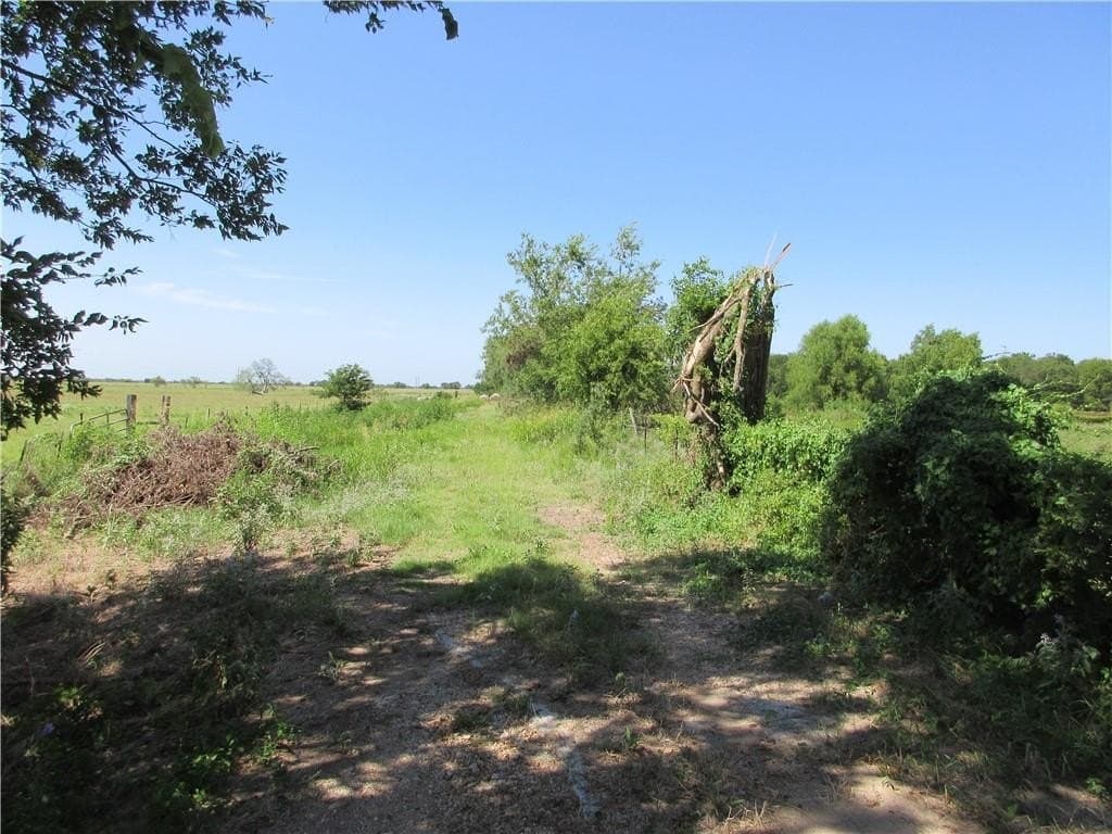 14.03 acres in Falls County - photo 3