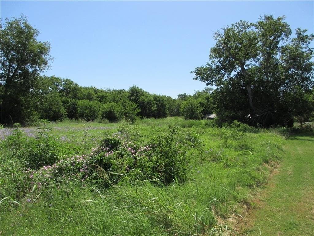 14.03 acres in Falls County - photo 5