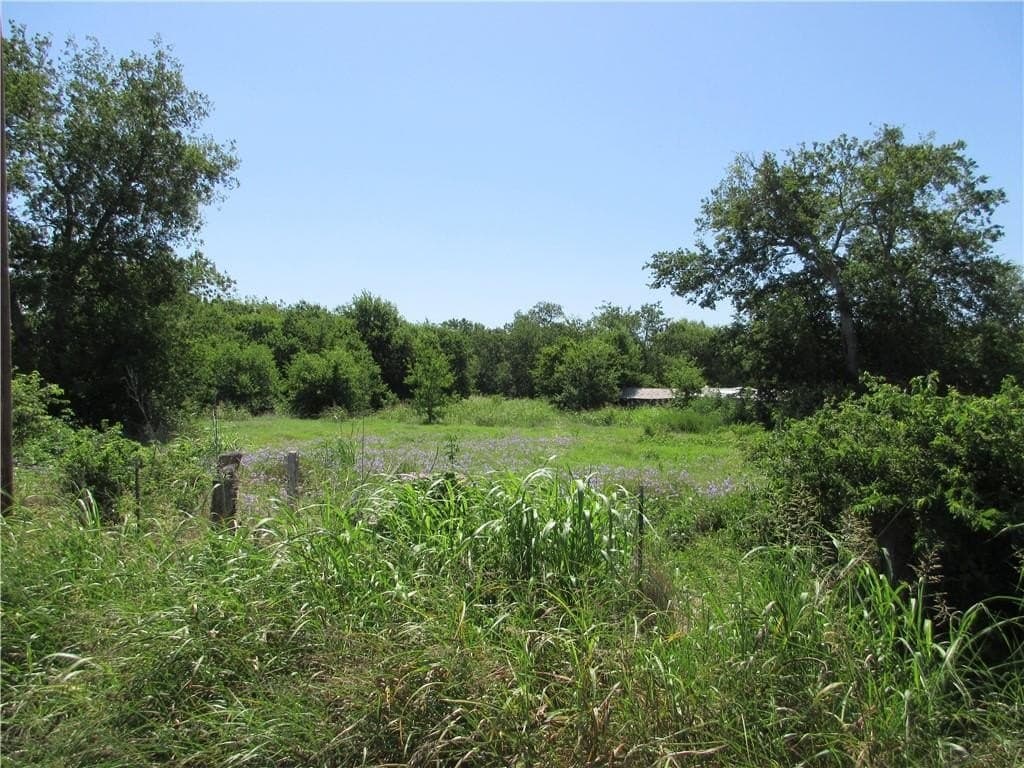 14.03 acres in Falls County - photo 4