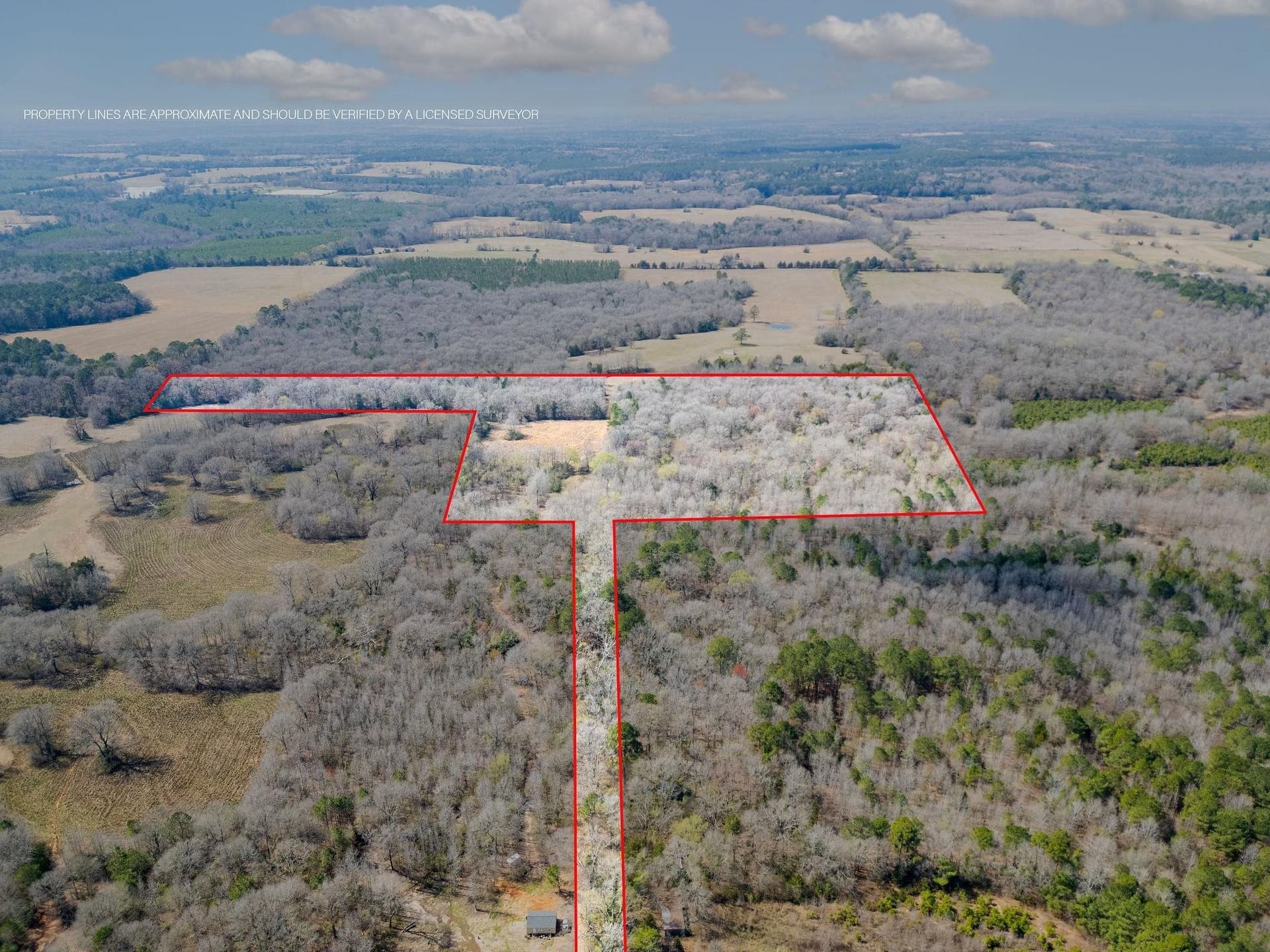 29.95 acres in Cass County - photo 5