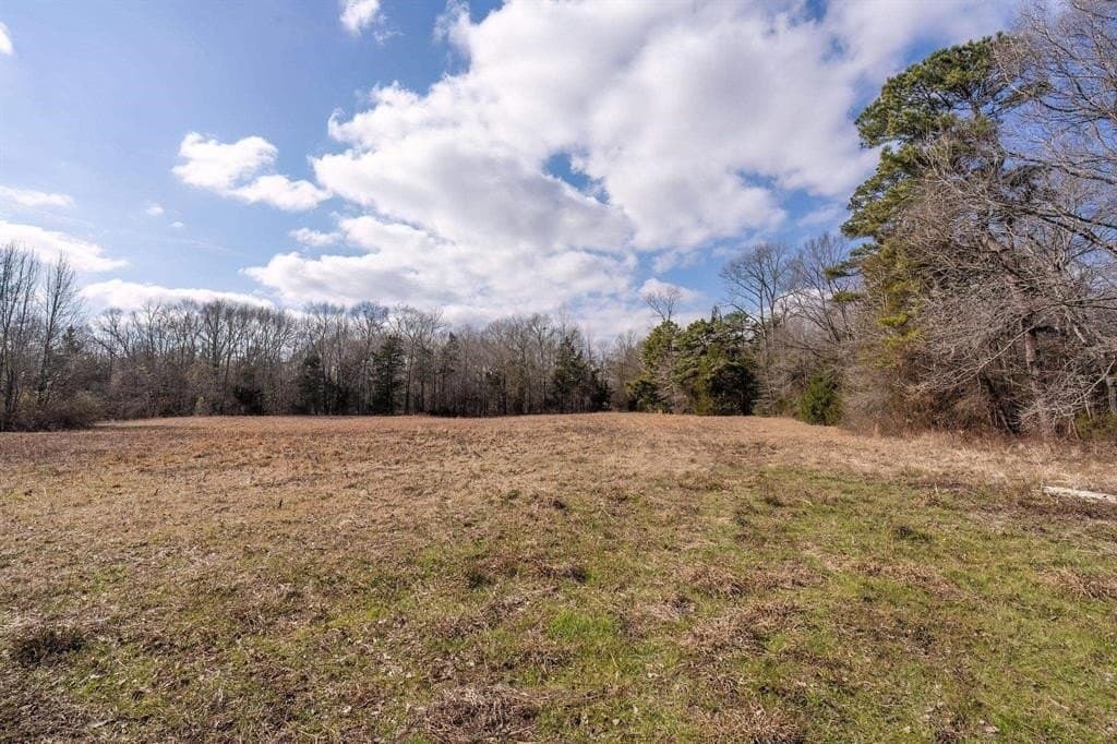 29.95 acres in Cass County - photo 4