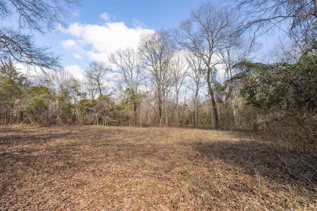 29.95 acres in Cass County - photo 2