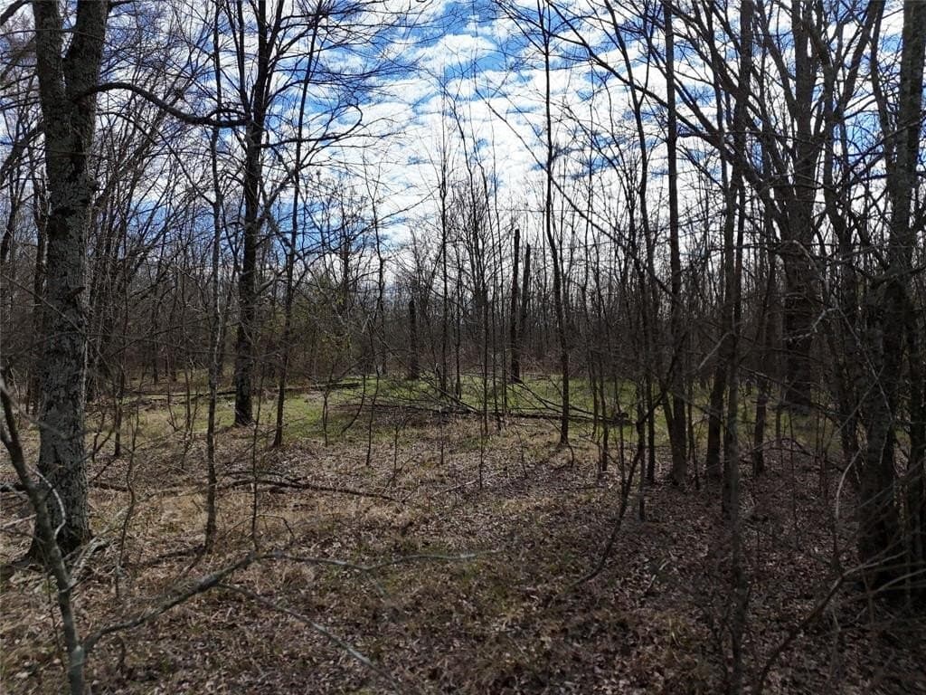 10.5 acres in Franklin County - photo 3