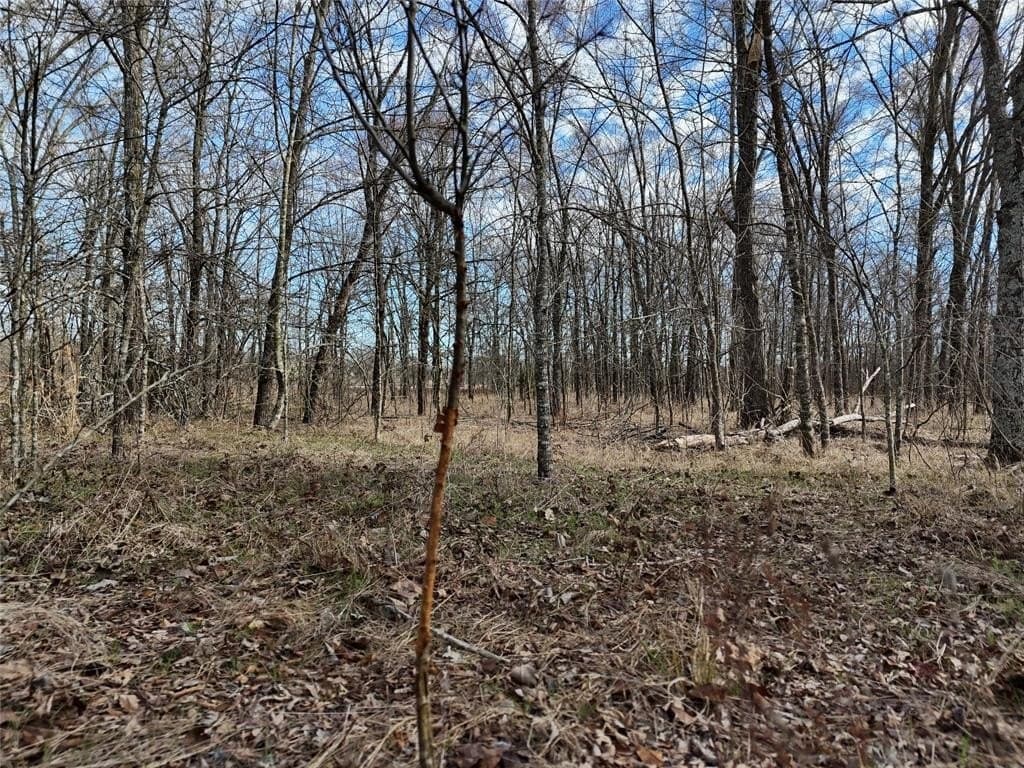 10.5 acres in Franklin County - photo 8
