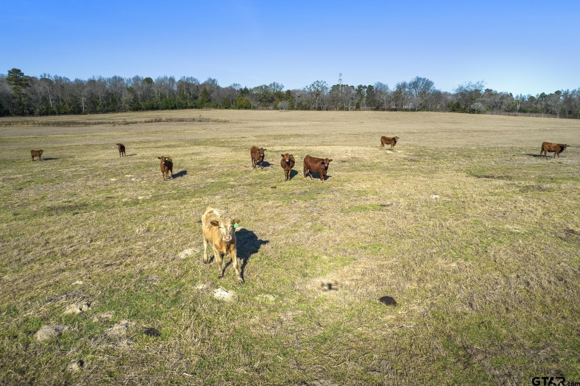 82.77 acres in Morris County - photo 13