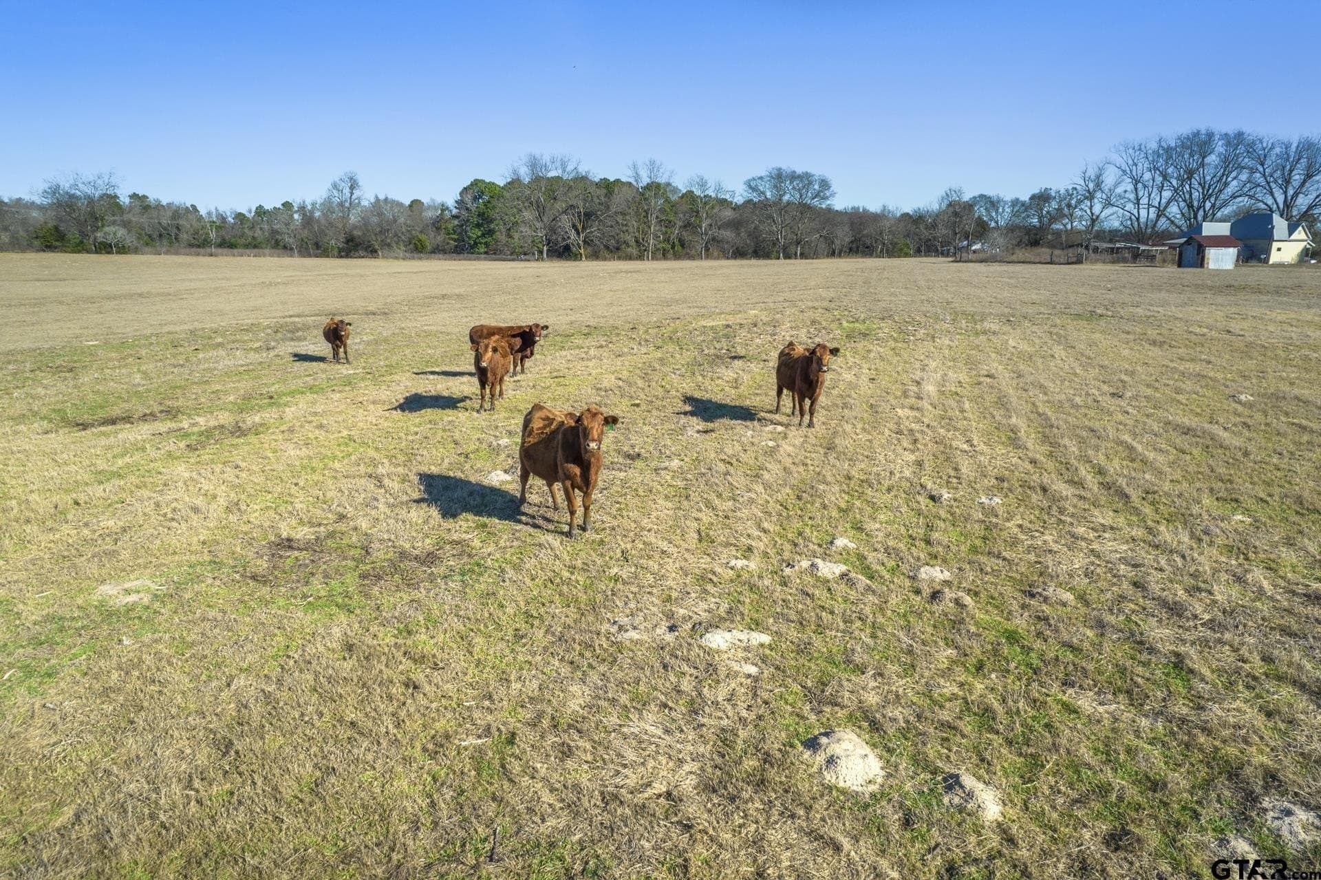 82.77 acres in Morris County - photo 14