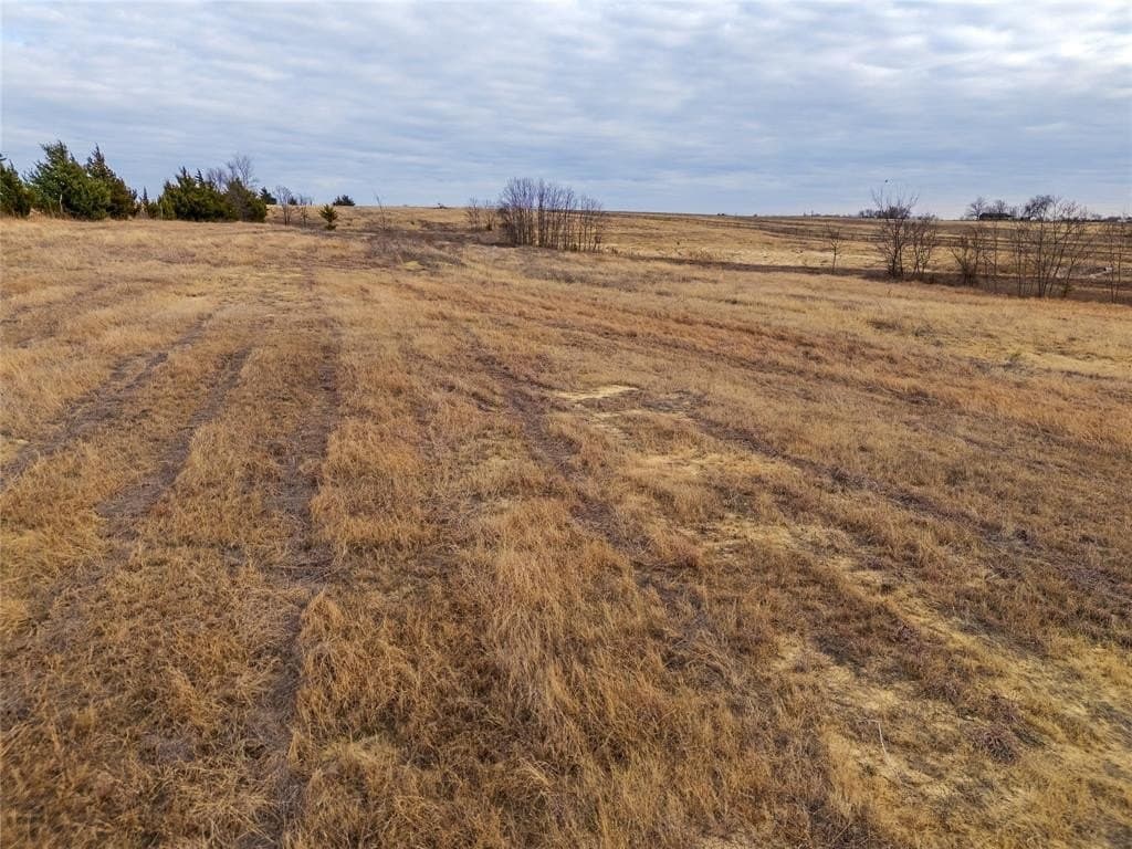 11.64 acres in Fannin County - photo 10