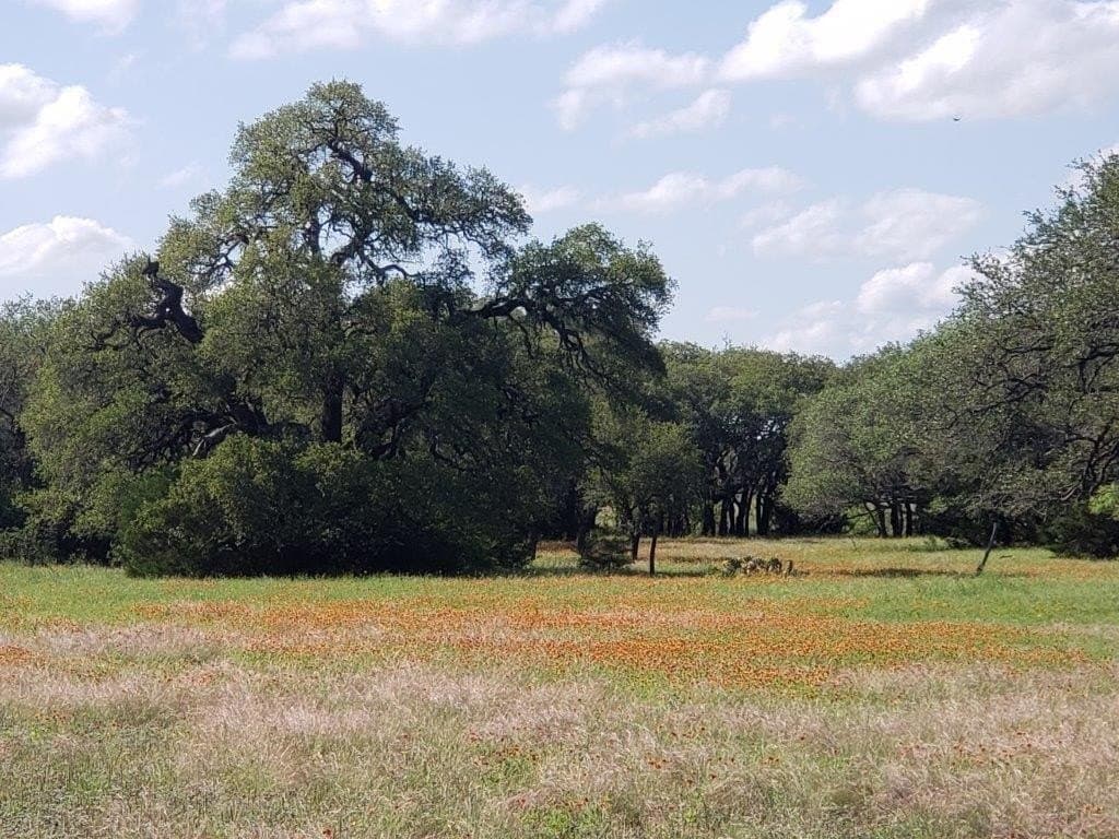 2,819.4 acres in Lampasas County - photo 9